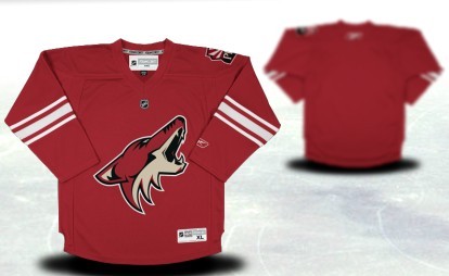 Phoenix Coyotes Youths Customized Red Jersey