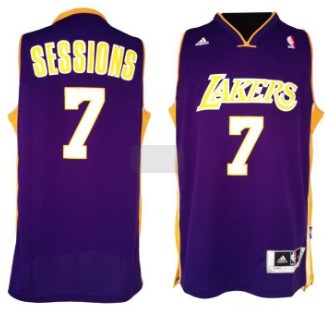 Los Angeles Lakers #7 Ramon Sessions Revolution 30 Swingman Purple Jersey 
