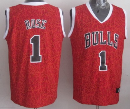 Chicago Bulls #1 Derrick Rose Red Leopard Print Fashion Jersey