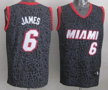 Miami Heat #6 LeBron James Black Leopard Print Fashion Jersey