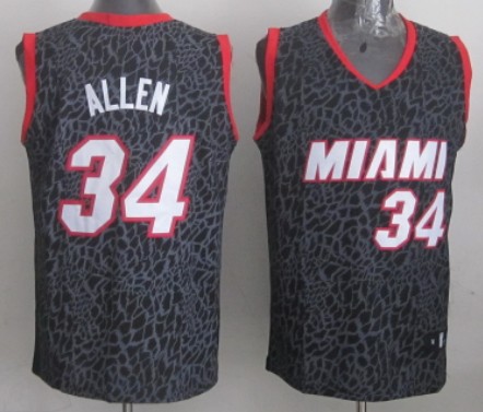 Miami Heat #34 Ray Allen Black Leopard Print Fashion Jersey