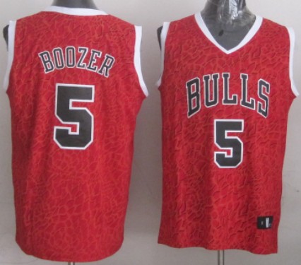 Chicago Bulls #5 Carlos Boozer Red Leopard Print Fashion Jersey 