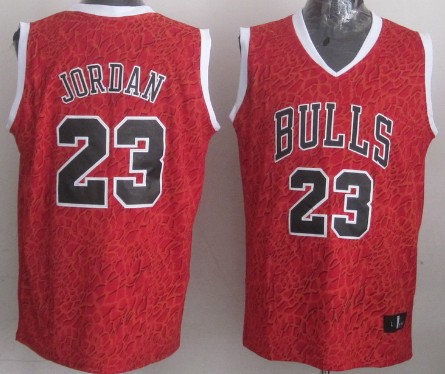 Chicago Bulls #23 Michael Jordan Red Leopard Print Fashion Jersey