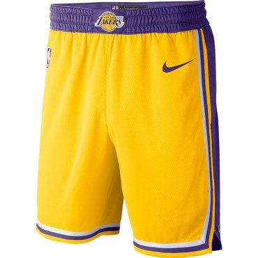 Men's Los Angeles Lakers Yellow 2019 Nike Swingman Stitched NBA Shorts
