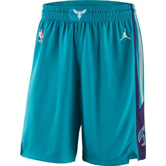 Men's Jordan Brand Teal Charlotte Hornets Icon Swingman Basketball Shorts