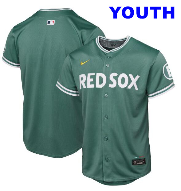 Youth Boston Red Sox Nike Blank Youth 2025 City Connect Limited Jersey - Green