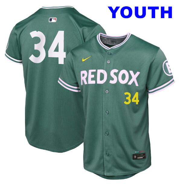 Youth David Ortiz Boston Red Sox #34 Nike Youth 2025 City Connect Limited Retired Player Jersey - Green