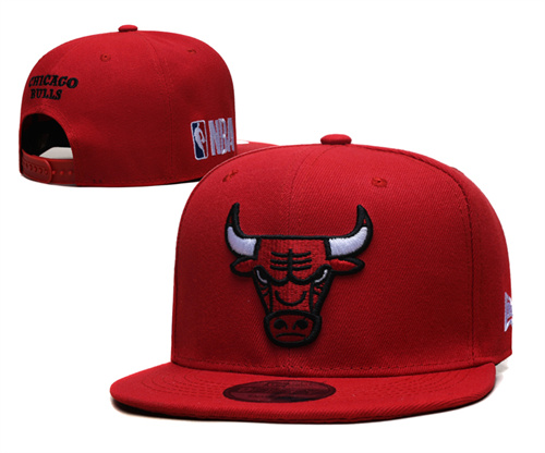 Chicago Bulls Stitched Snapback Hats-SF975