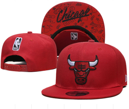 Chicago Bulls Stitched Snapback Hats-SF994