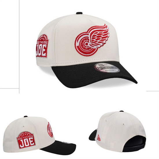 Detroit Red Wings Stitched Snapback Hats-TX242
