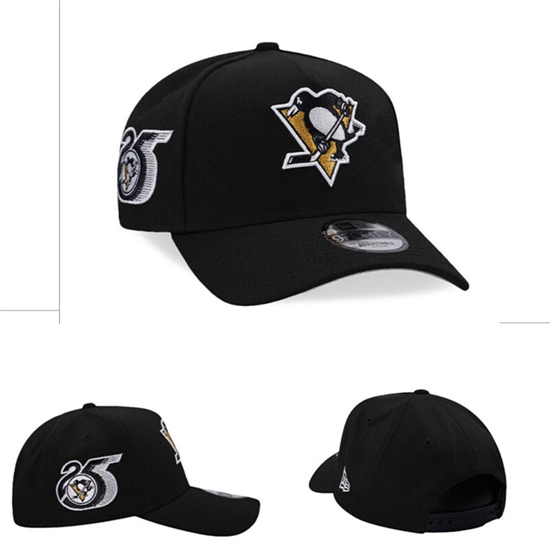 Pittsburgh Penguins Stitched NHL Snapback Hats-TX293