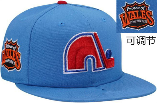 Quebec Nordiques Stitched NHL Snapback Hats-TX294