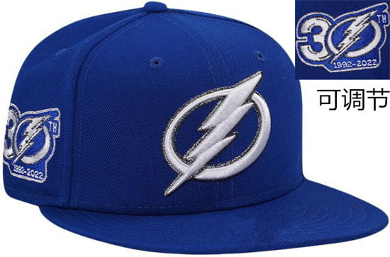 Tampa Bay Lightning Stitched NHL Snapback Hats-TX303