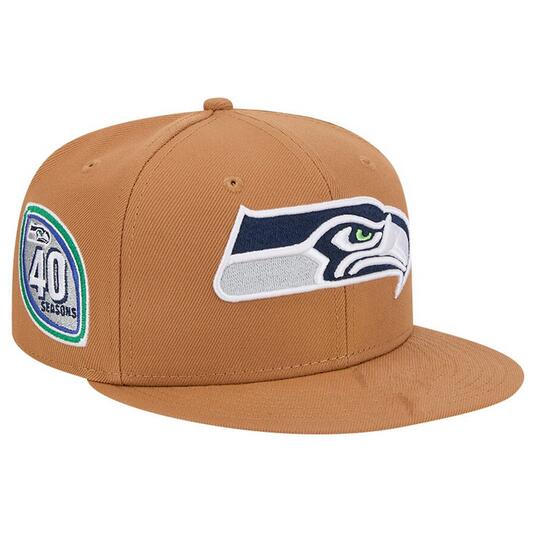Seattle Seahawks Stitched Snapback Hats-TX119