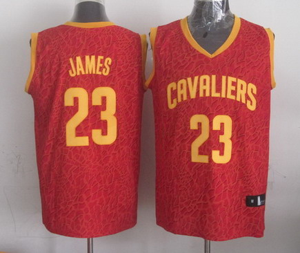 Cleveland Cavaliers #23 LeBron James Red Leopard Print Fashion Jersey