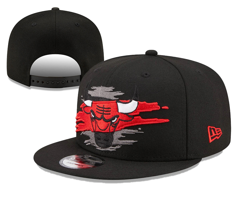 Chicago Bulls CAPS-YD313