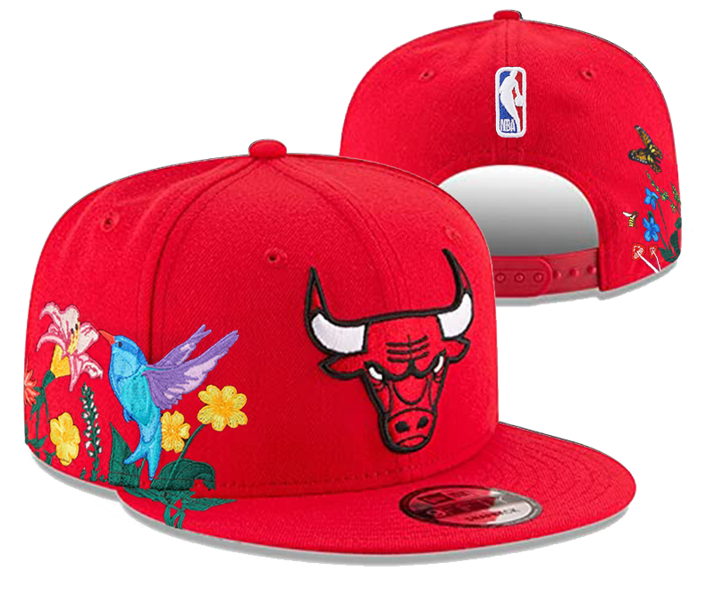 NBA Chicago Bulls Snapbacks-YD548
