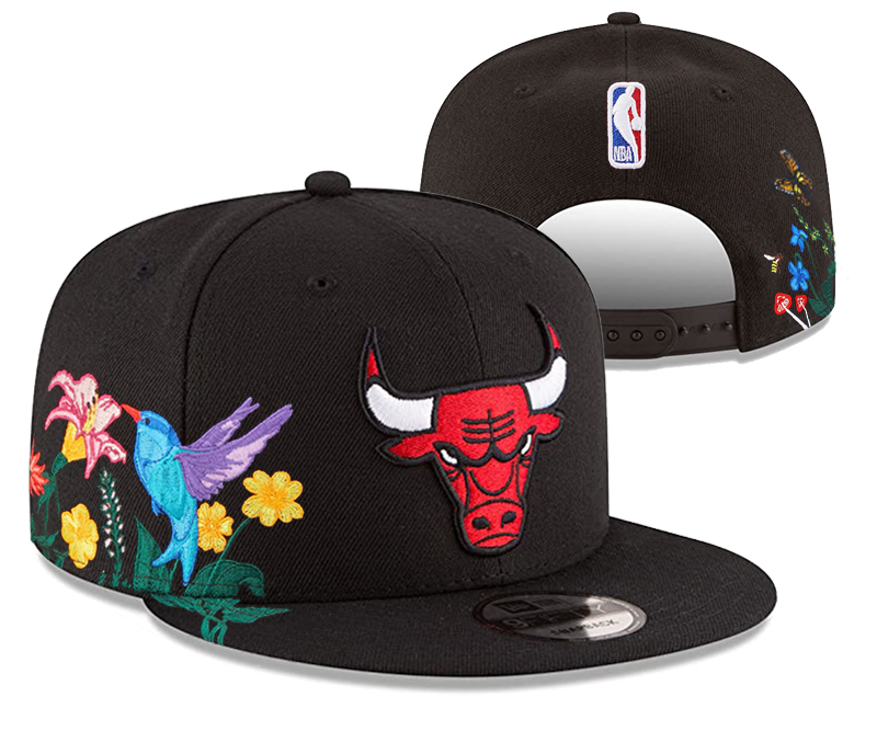 NBA Chicago Bulls Snapbacks-YD549