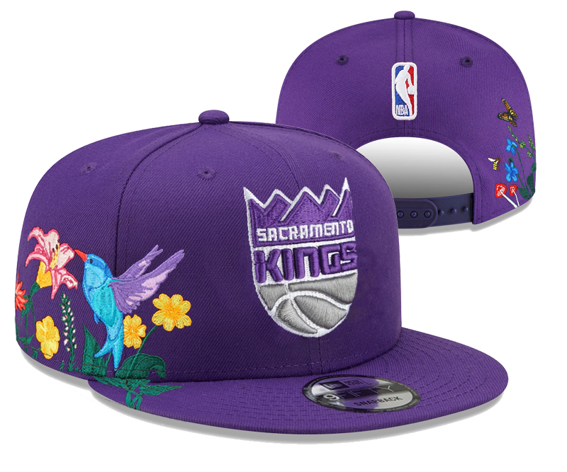NBA Sacramento Kings Snapbacks-YD816