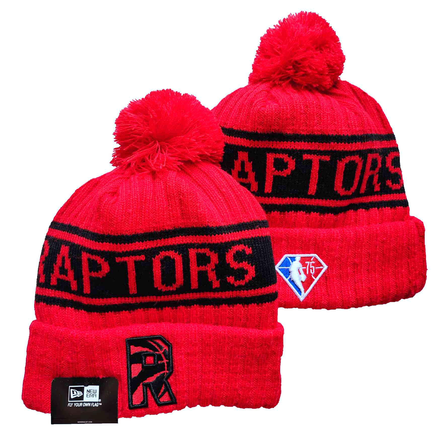 NBA Toronto Raptors Beanies Knit Hats-YD533