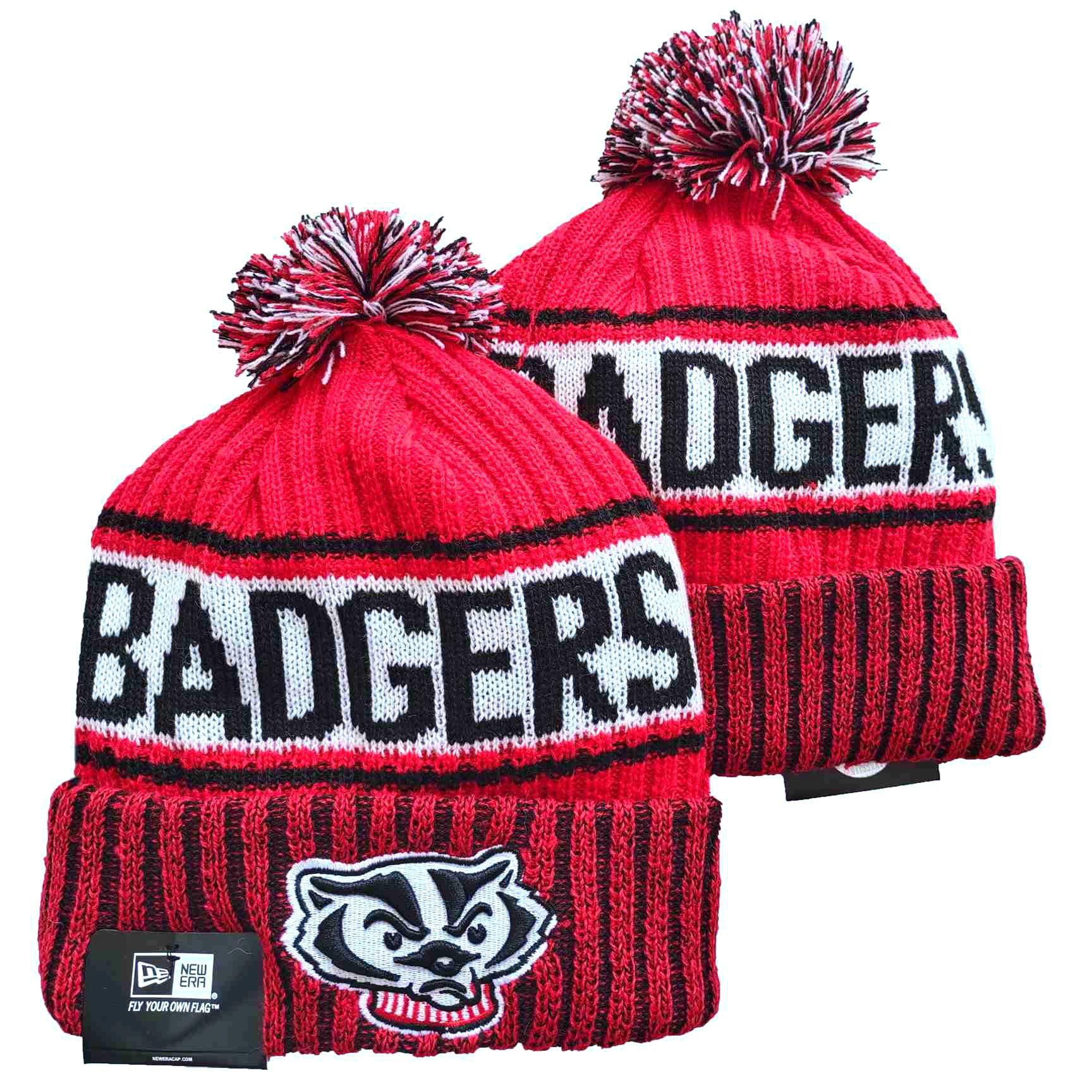 NCAA Wisconsin Badgers Beanies Knit Hats-YD435