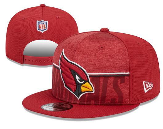 NFL Arizona Cardinals Snapbacks-YD1621