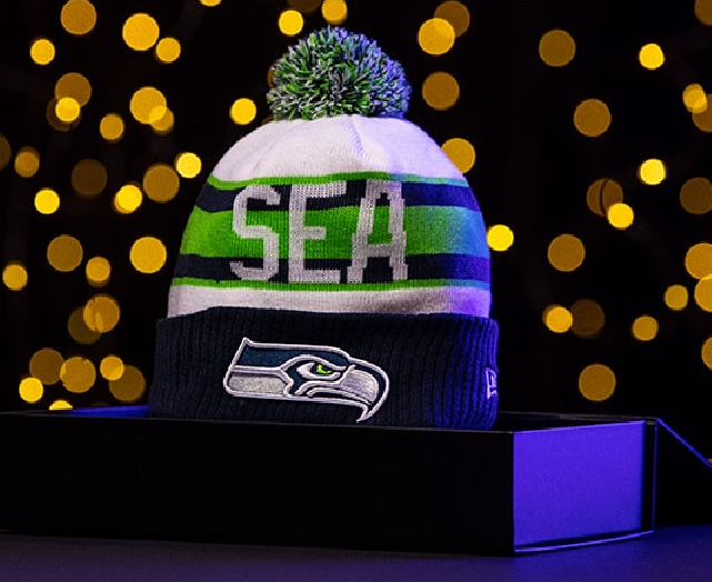 NFL Seattle Seahawks Beanies Knit Hats-YD1233
