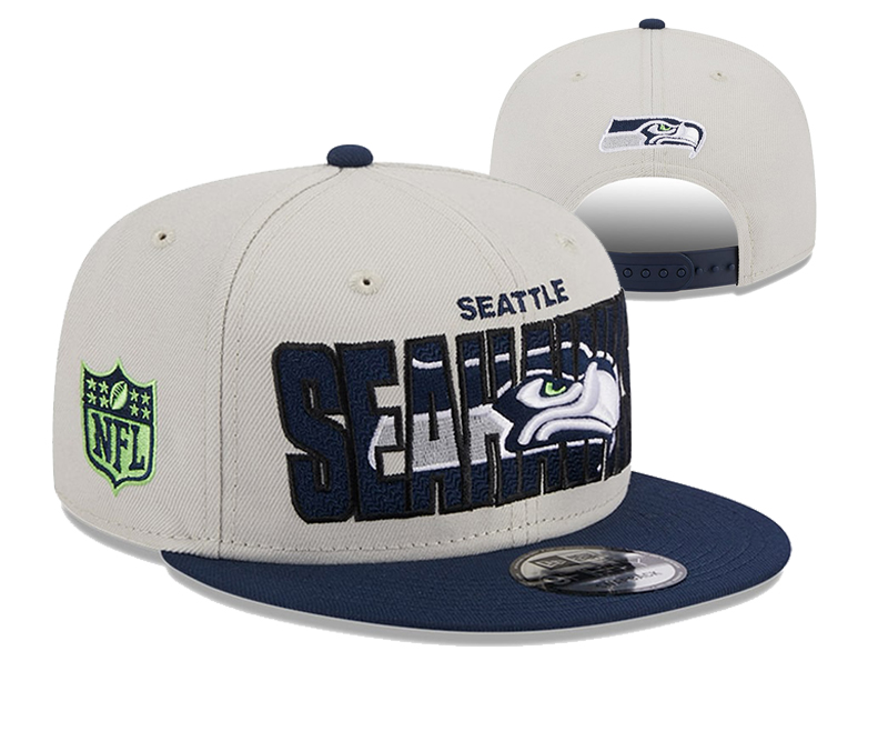 NFL Seattle Seahawks Snapbacks-YD1675