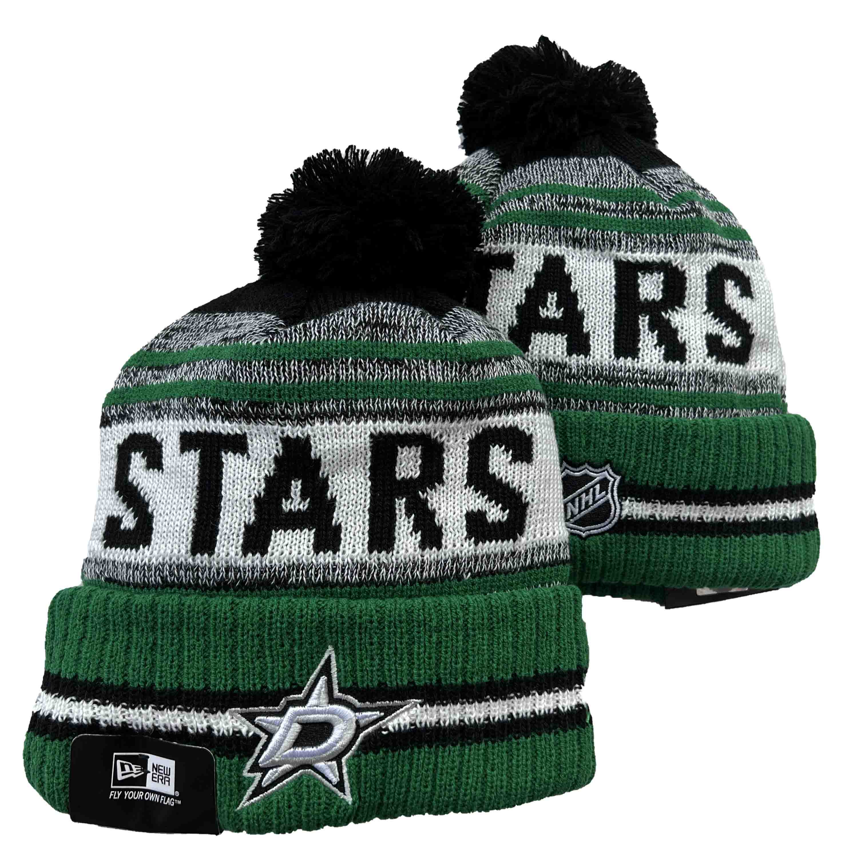 NHL Dallas Stars Beanies Knit Hats-YD1621