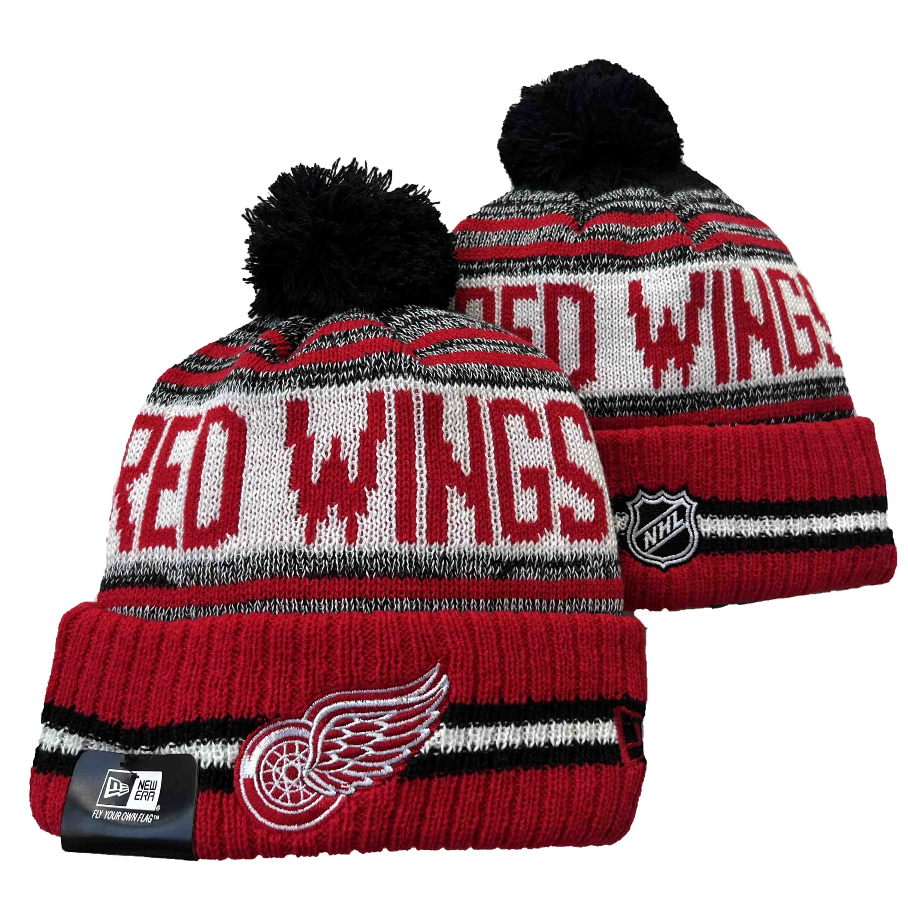 NHL Detroit Red Wings Beanies Knit Hats-YD1573