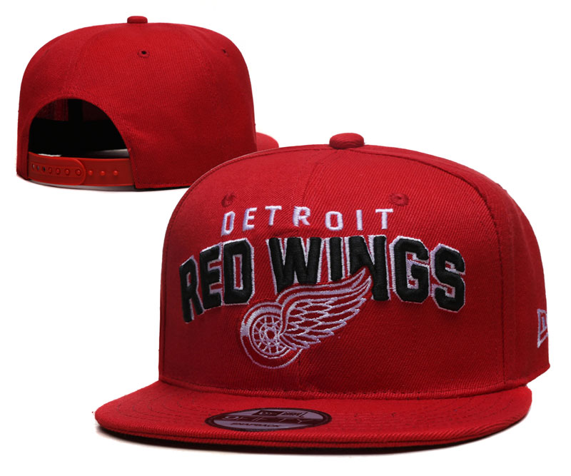 NHL Detroit Red Wings Snapbacks-YD1648