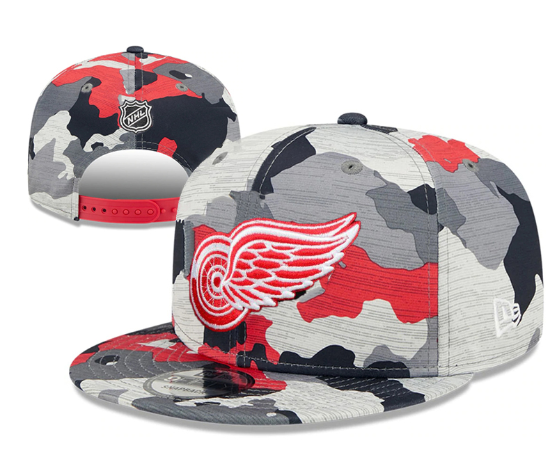 NHL Detroit Red Wings Snapbacks-YD1649