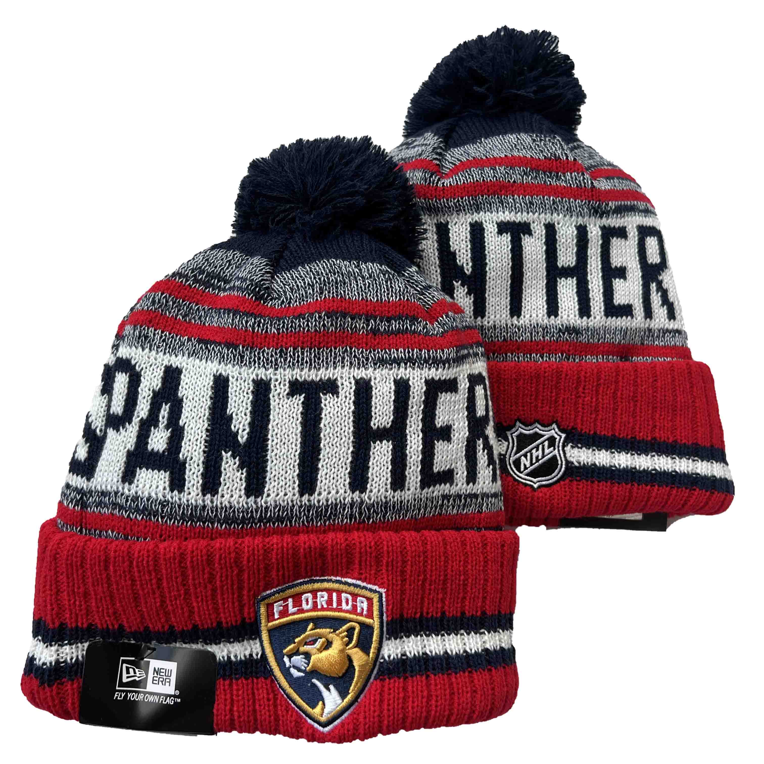 NHL Florida Panthers Beanies Knit Hats-YD1631