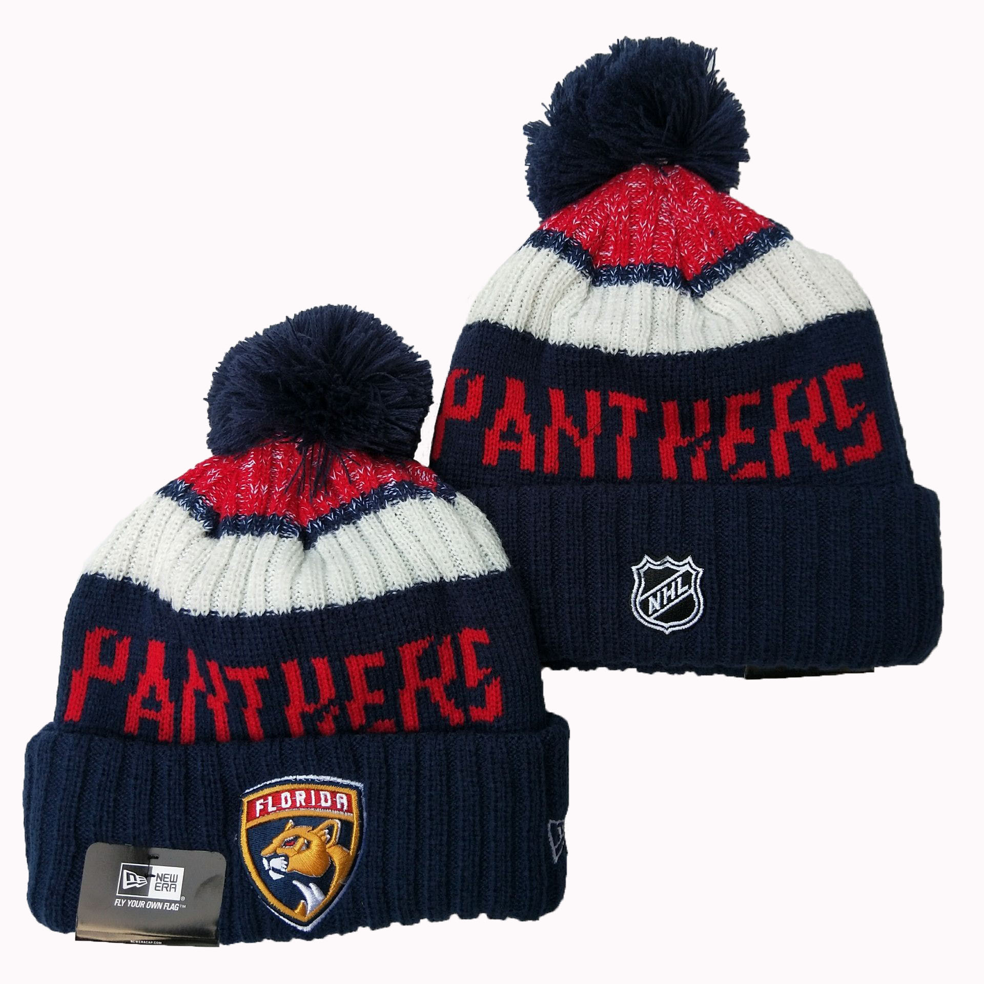 NHL Florida Panthers Beanies Knit Hats-YD1632