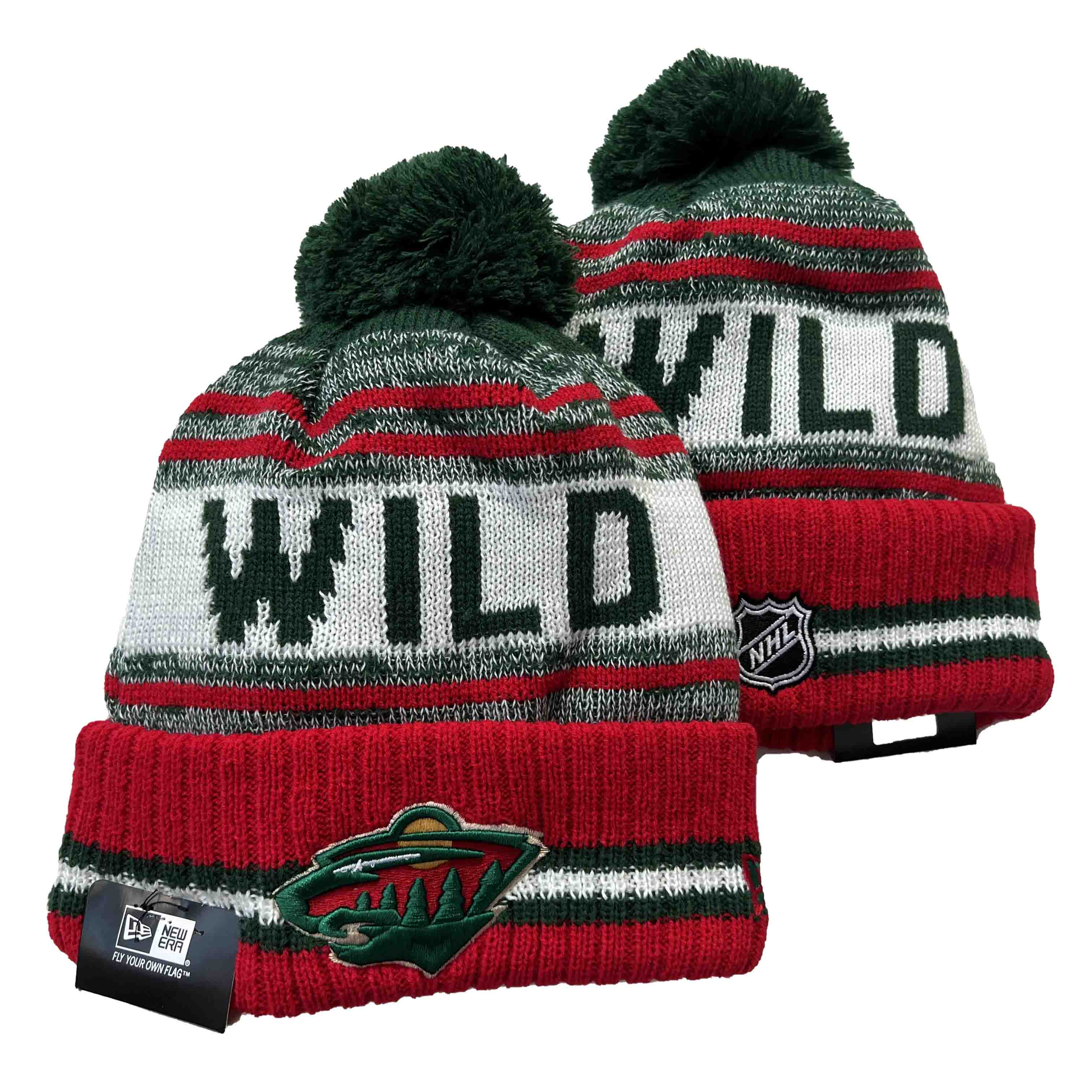 NHL Minnesota Wild Beanies Knit Hats-YD1633