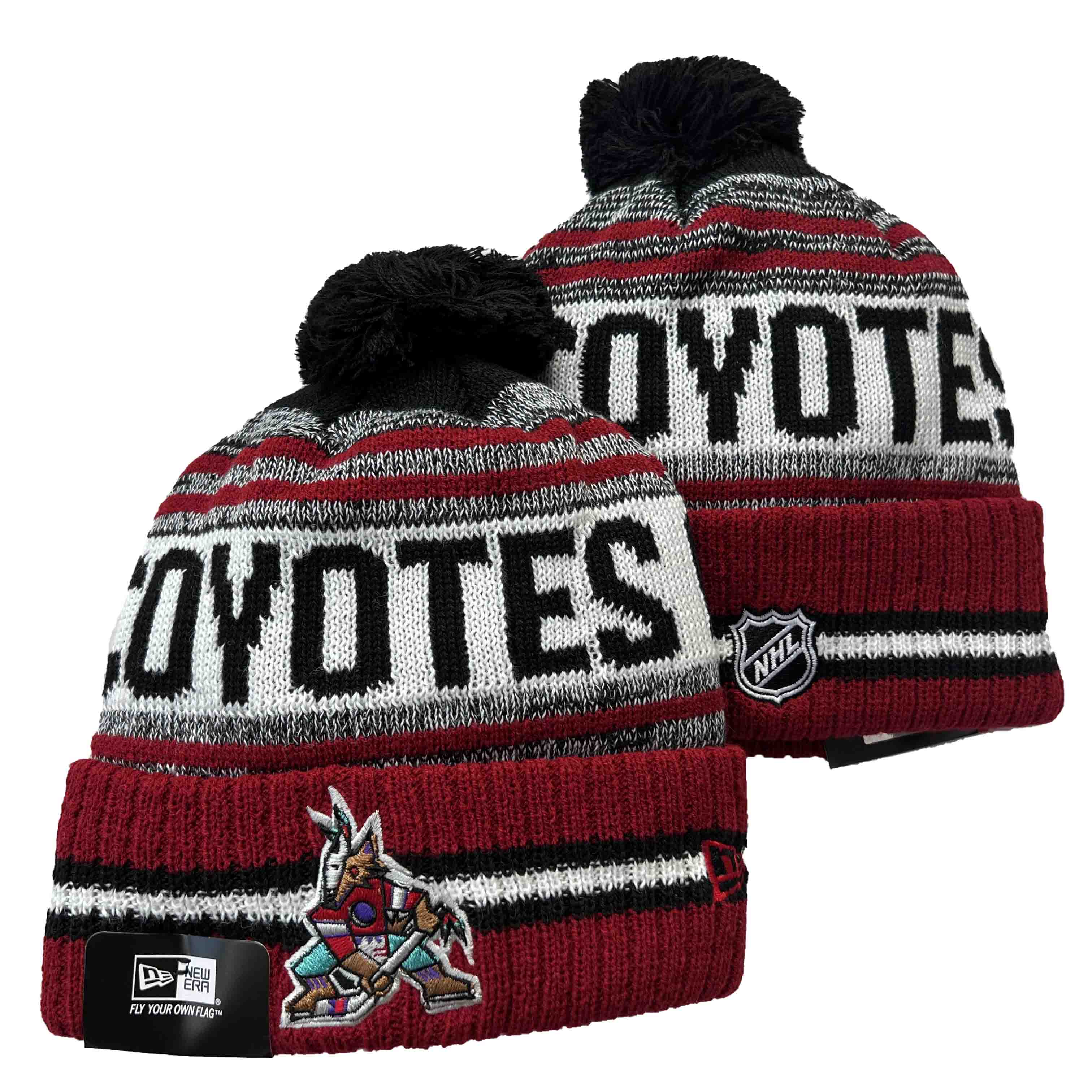 NHL Phoenix Coyotes Beanies Knit Hats-YD1629