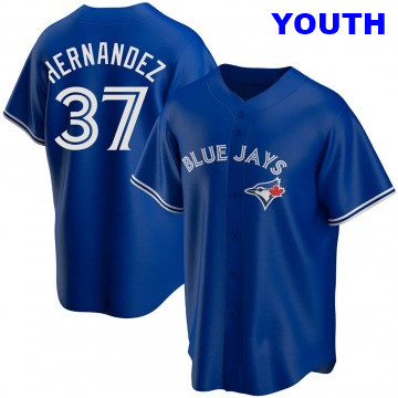 Youth Teoscar Hernandez Toronto Blue Jays #37 Replica Royal Alternate Jersey